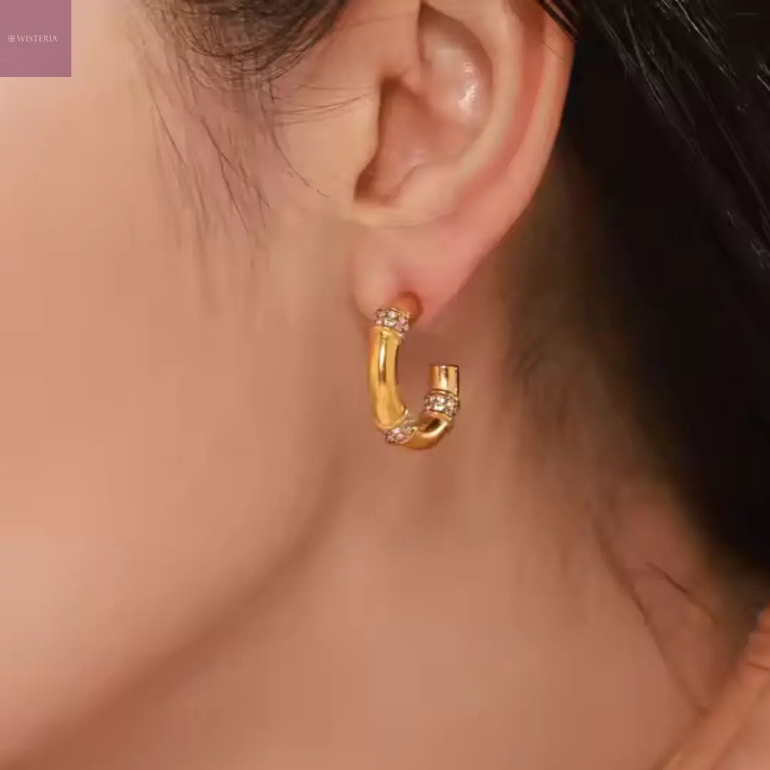 Segmented Sparkle Hoops Wisteria