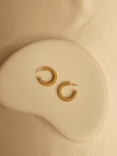 [ER-319-200-Gol] Elegant Retro Sparkle Korean Gold Hoop Earrings